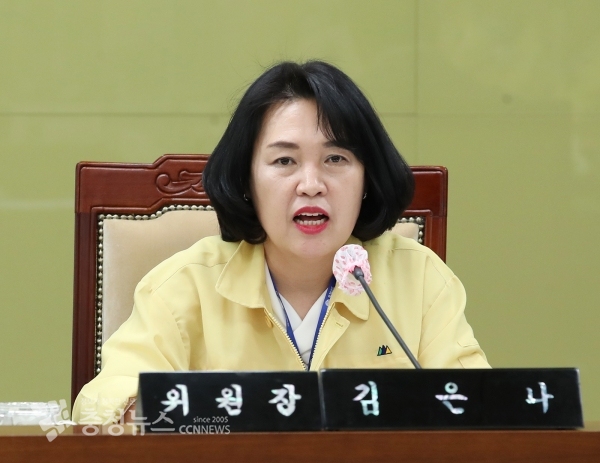 공교육강화특위 김은나 위원장
