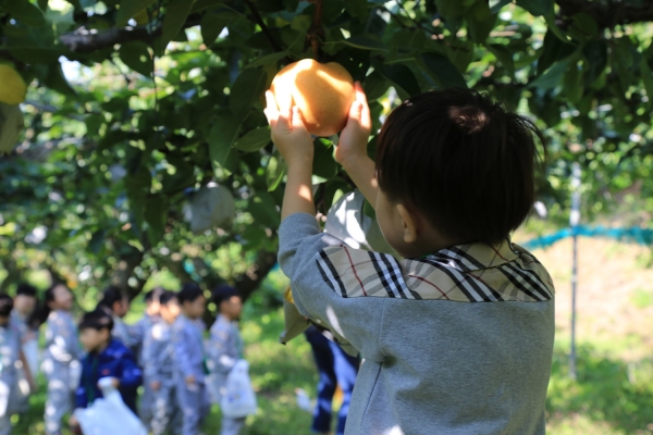 기쁨두배마을 배따기 체험