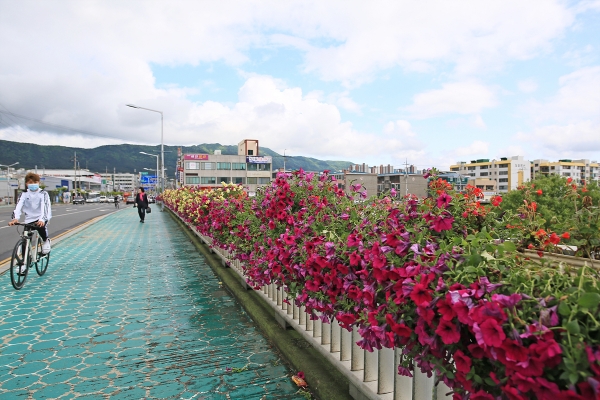 한내대교 꽃다리 장면