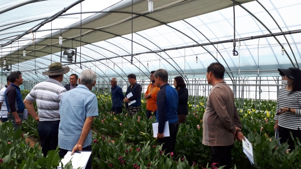 칼라·프리지아 재배농가 현장 컨설팅 실시