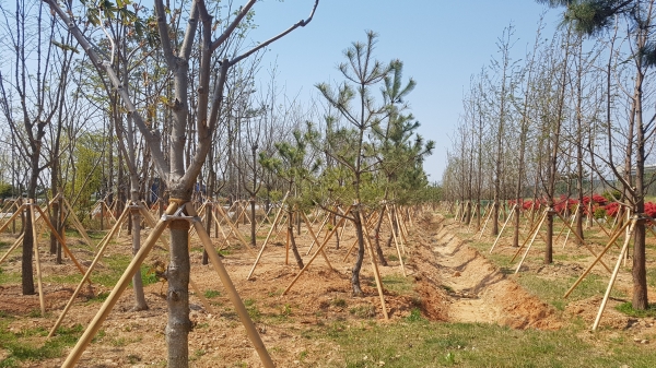 인주 및 둔포산단 일원 미세먼지 차단숲