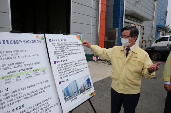 마산 블루베리 공동선별 출하 생산장 방문한 노박래 군수