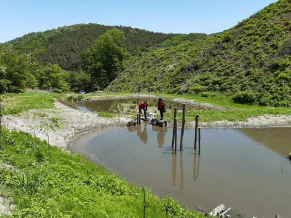 동화3리 반딧불이 생태습지