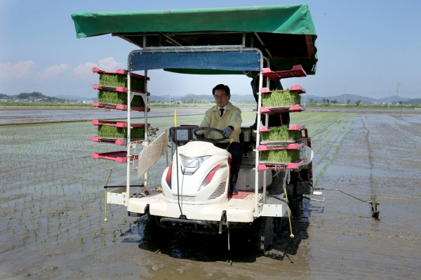 노박래 서천군수, 모내기 현장 방문해 시연모습