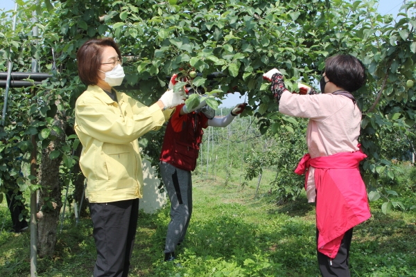 농촌 일손돕기 봉사활동