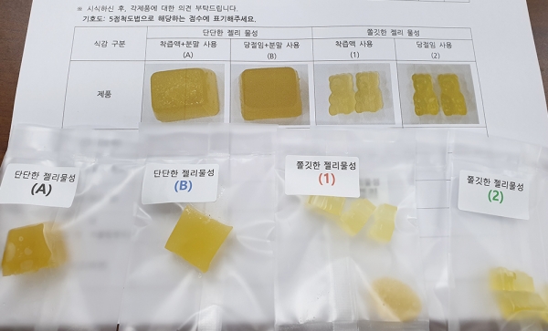 생강 가공제품 개발 연구용역 최종보고회