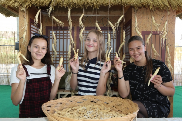 지난 금산인삼축제 현장 모습