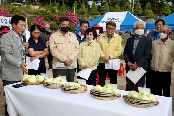 ‘양파분야 시범사업 평가회’ 모습.