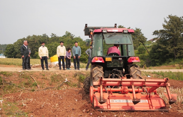 마늘 산지폐기 현장 방문해 상황 점검하고 농민들을 위로하는 맹정호 시장