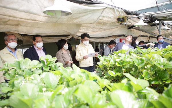 맹정호 서산시장이 성연면 고남리 시설채소 무인방제 시스템 시범사업 현장을 방문해 시범 사업 추진 상황을 점검하고 농가의 애로사항을 듣고 있다.