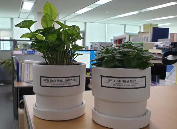 청렴푸르미 화분