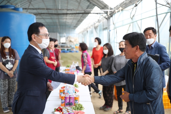 천안시장 창업농업인이 운영하는 오이농장 방문