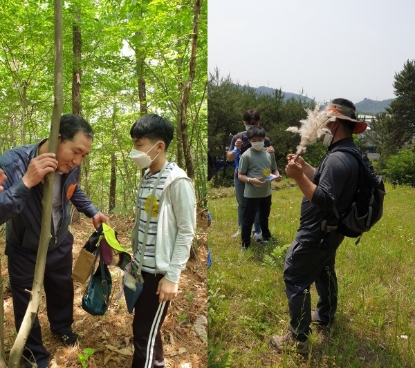 아빠 놀이터 운영, 숲체험