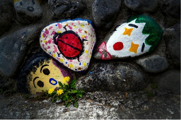 사진부문 최우수상 수상작 ‘들꽃’