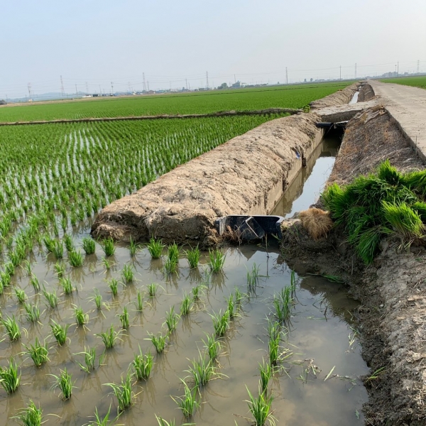 다목적 물꼬 사용