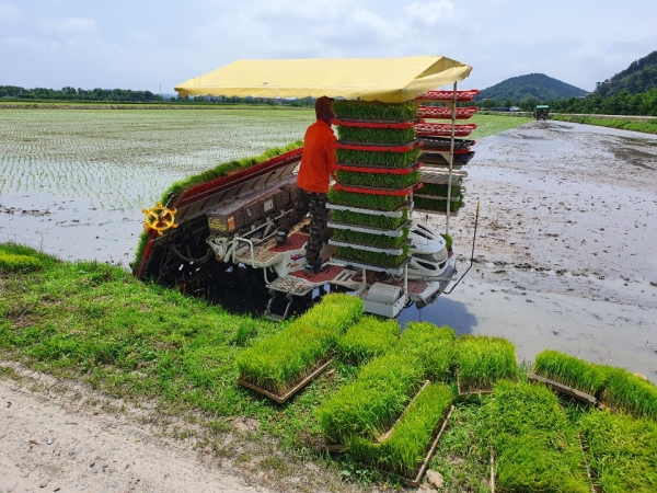 측조시비기 모습
