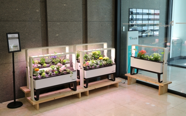 대전도시공사, 식물구독 서비스 도입
