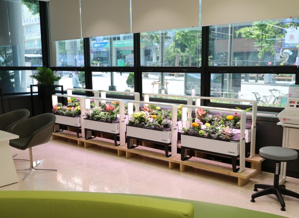 대전도시공사, 식물구독 서비스 도입