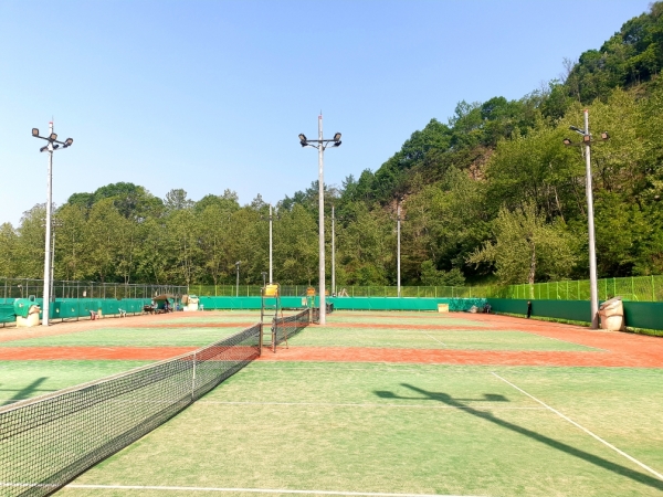 . 세천테니스장 모습