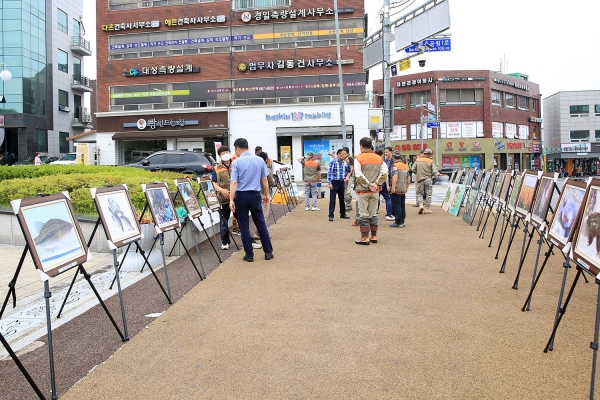 지난 12일 시청 앞 솔빛공원에서 생태계교란생물 퇴치 홍보 행사를 개최했다.