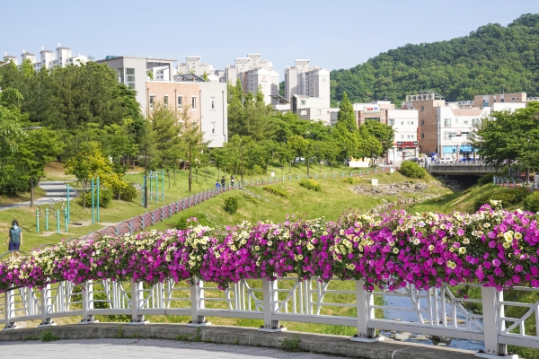 천안시가 조성한 천변공원 내 육교에 난간걸이 화분