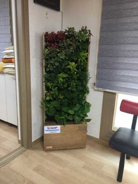 장춘경로당에 설치한 식물