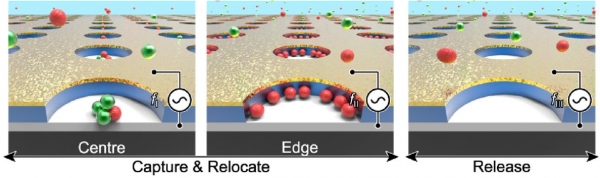 수직 나노갭 전극의 나노 입자 제어기술의 모식도