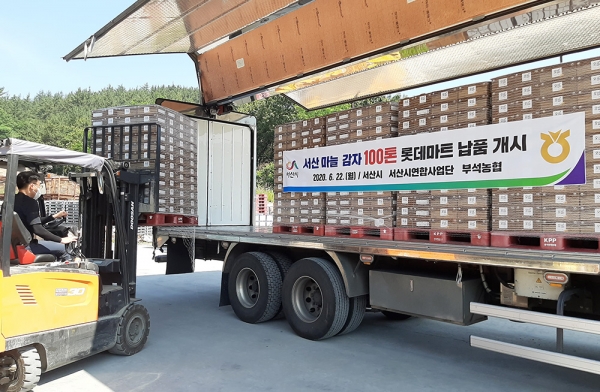 서산 마늘감자 100톤, 29일까지 전국 120개 롯데마트에서 판매