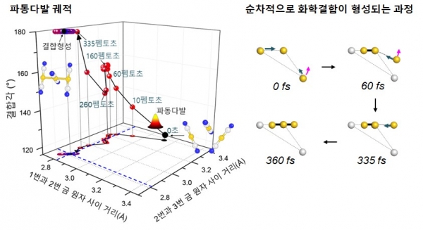 펨토초 엑스선 회절법으로 관찰한 금 삼합체의 화학결합 메커니즘