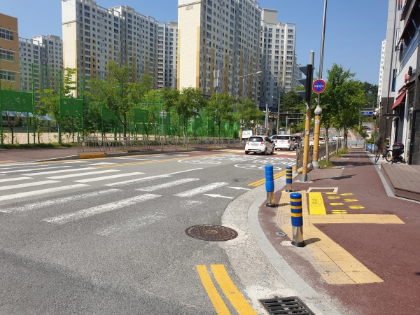 노란발자국 사진