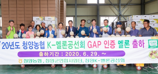 지난 29일 청양농협 선별장에서 열렸으며, 이 자리에는 김돈곤 군수, 박원배 NH농협 청양군지부장, 오호근 청양농협조합장, 공선회원 등 30여명이 참석했다.