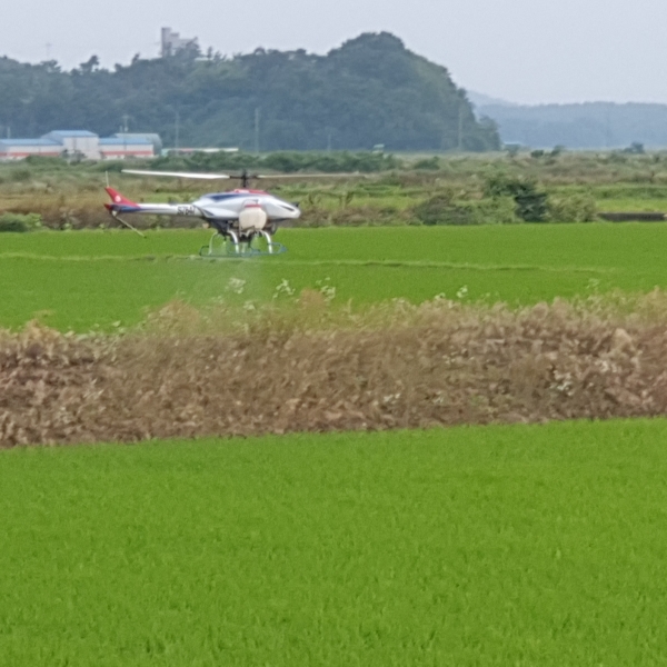 항공방제 실시 사진
