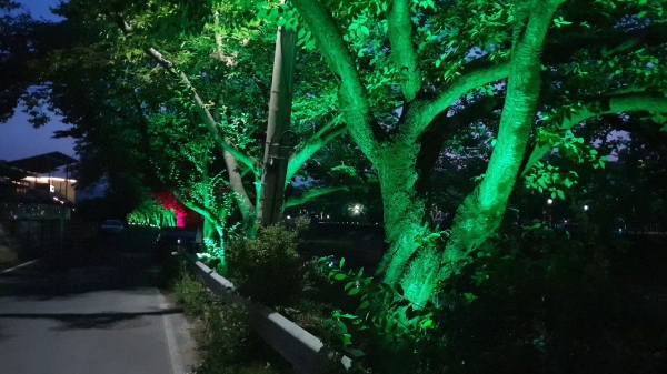 금산천 야경등 운용 모습