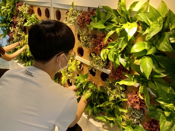 당진중 ‘헤아리다’동아리 학생들이 바이오월에 식물을 배치, 식재하고 있다.