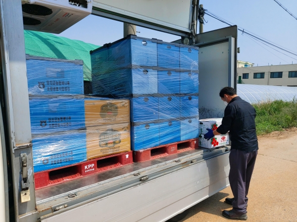 급식농산물 순회수집 장면