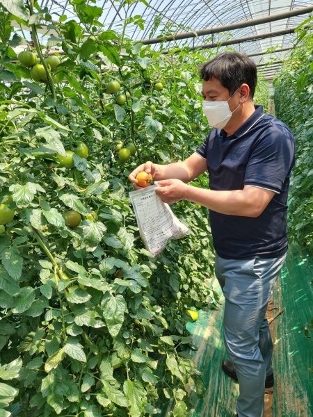 담당공무원 급식농산물 샘플채취 사진