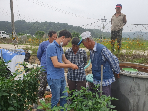 고추 탄저병 조사 장면