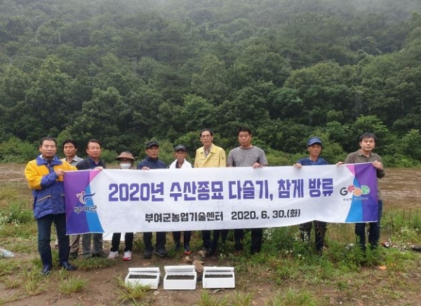 수산종묘 방류 장면