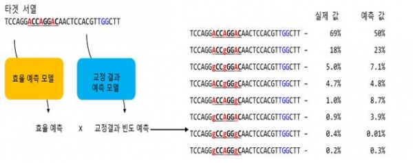 DeepBaseEditor 예측 프로그램의 개략도. 교정을 원하는 염기서열을 넣으면 두 가지 예측모델이 각각 염기교정 효율과 가능한 교정결과들의 빈도를 수치화한다.