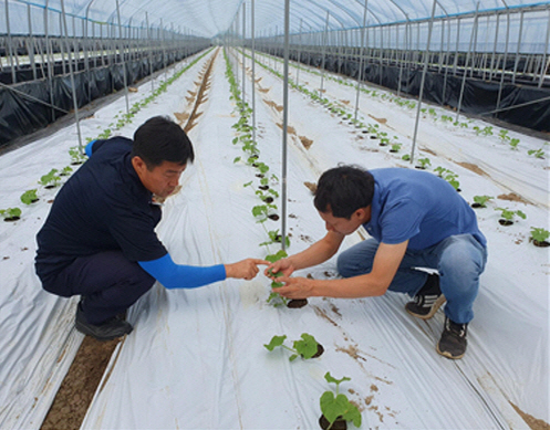 현장기술지원 장면