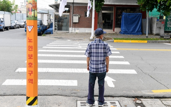 노인보호구역 도로표시 모습