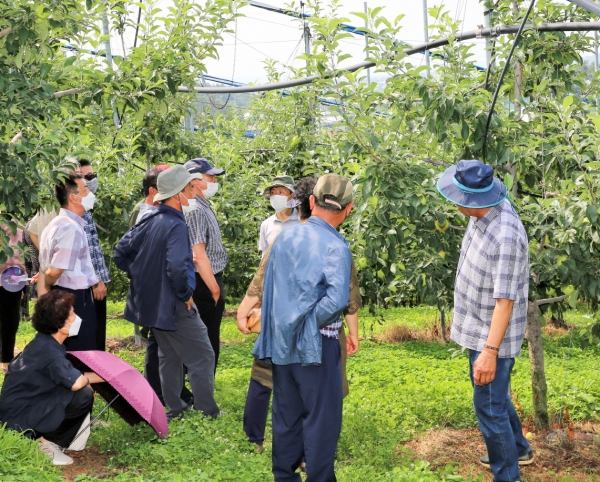 17일 군 농업기술센터에서 사과재배농업인, 사과연구회원, 군 관계자 등이 모인 가운데 ‘2020년 사과분야 시범사업 평가회’ 개최