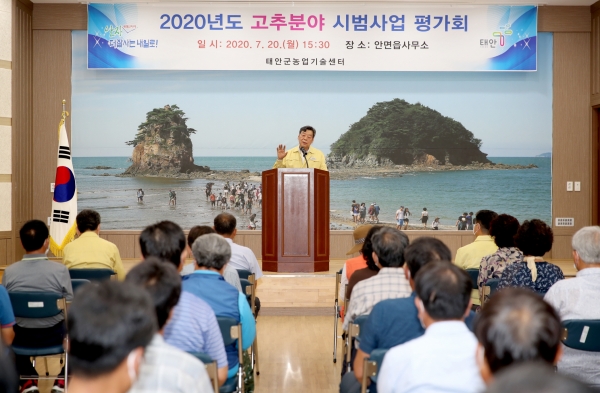 지난 20일 안면읍행정복지센터 대강당에서 고추재배농업인ㆍ고추연구회원ㆍ군 관계자 등이 모인 가운데 열린 ‘2020년 고추분야 시범사업 평가회’ 모습.