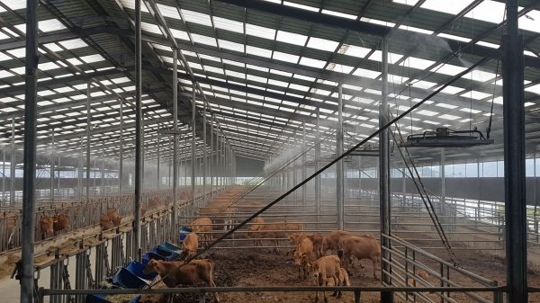 폭염 대비 가축 관리 안내 (축사안개분무시설 가동 모습)