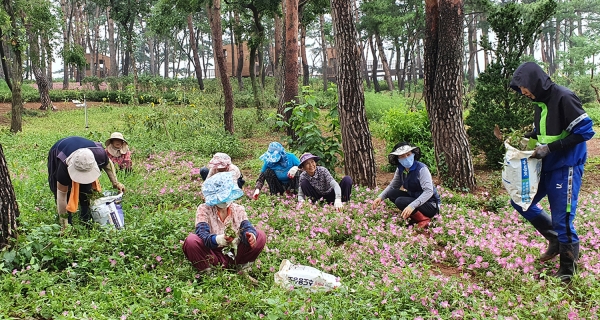 '희망일자리사업’시작