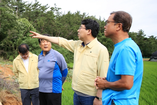 맹정호 서산시장, 집중호우 피해현장 즉시 점검 (팔봉면)