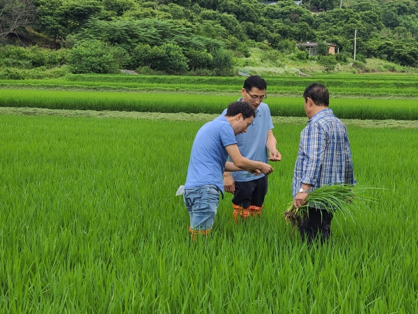장마철 농작물 피해예방 현장기술 지원 장면