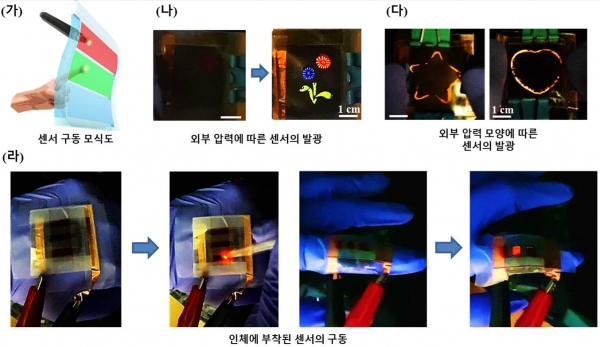 (가) 압력감응 발광센서의 구동 모식도 (나) 외부 압력에 따른 압력감응 발광센서 (다) 외부 압력의 모양에 따른 압력감응 발광센서 (라) 인체에 부착하여 착용가능한 소자로 구현된 압력감응 발광센서