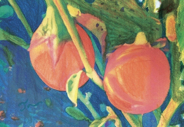 "Constancy of Love" is the 10th poem of "Thought & Foresight" written and drawn by Kim Hong-Ju.