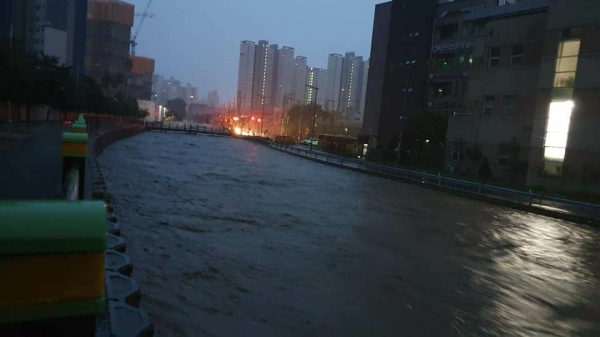 대전에 30일 시간당 최대 80mm 가량의 비가 내리며 하천 고수부지가 물에 잠겼다.